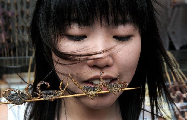 China, espetos e insetos