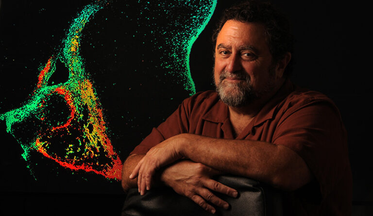 Neurologista descobre que é um psicopata ao analisar o próprio cérebro