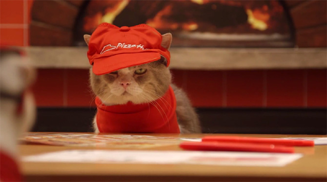 Pizza Cat: o Pizza Hut gerenciado por gatos