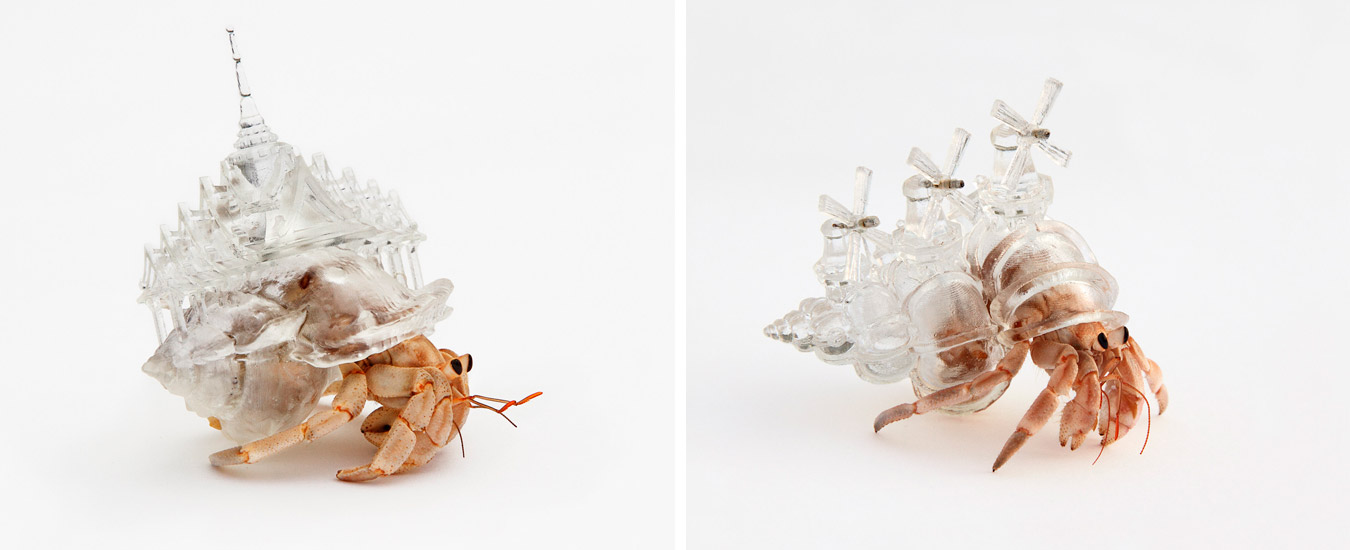 Artista cria carapaças de cidades para caranguejos eremitas