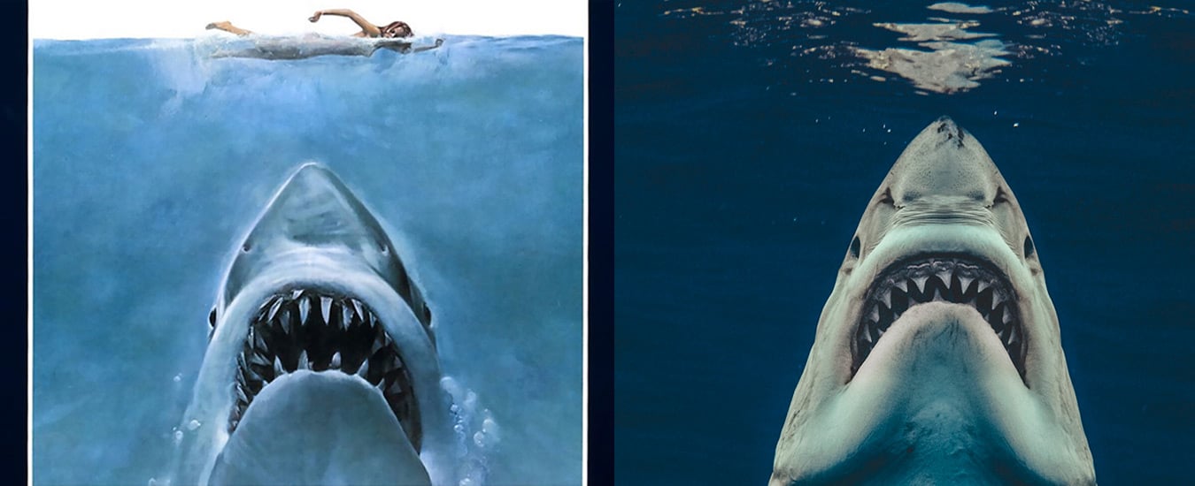 Fotógrafo recria pôster do filme Tubarão com imagem real