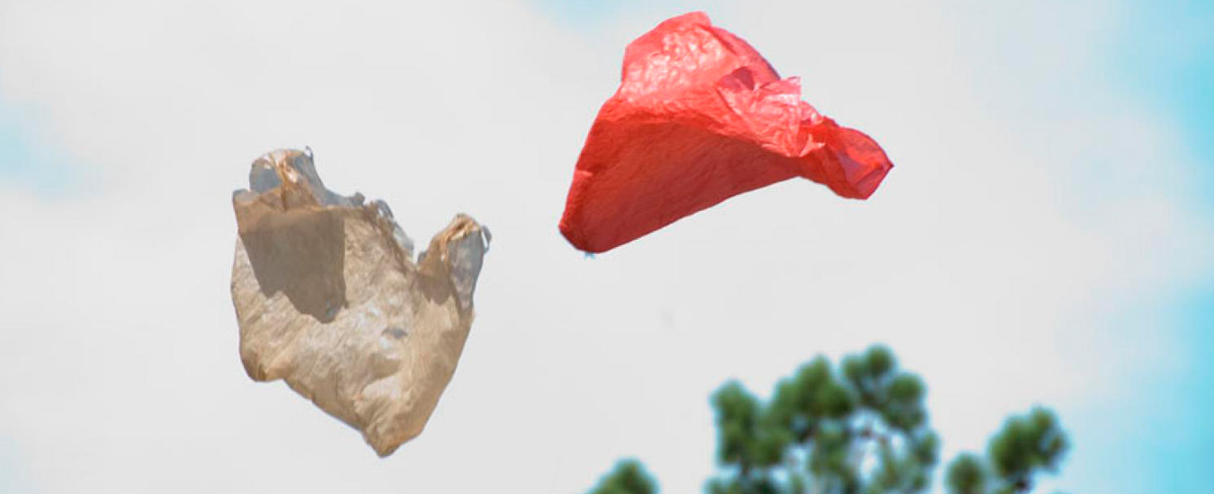 Werner Herzog narra a jornada de uma sacola plástica