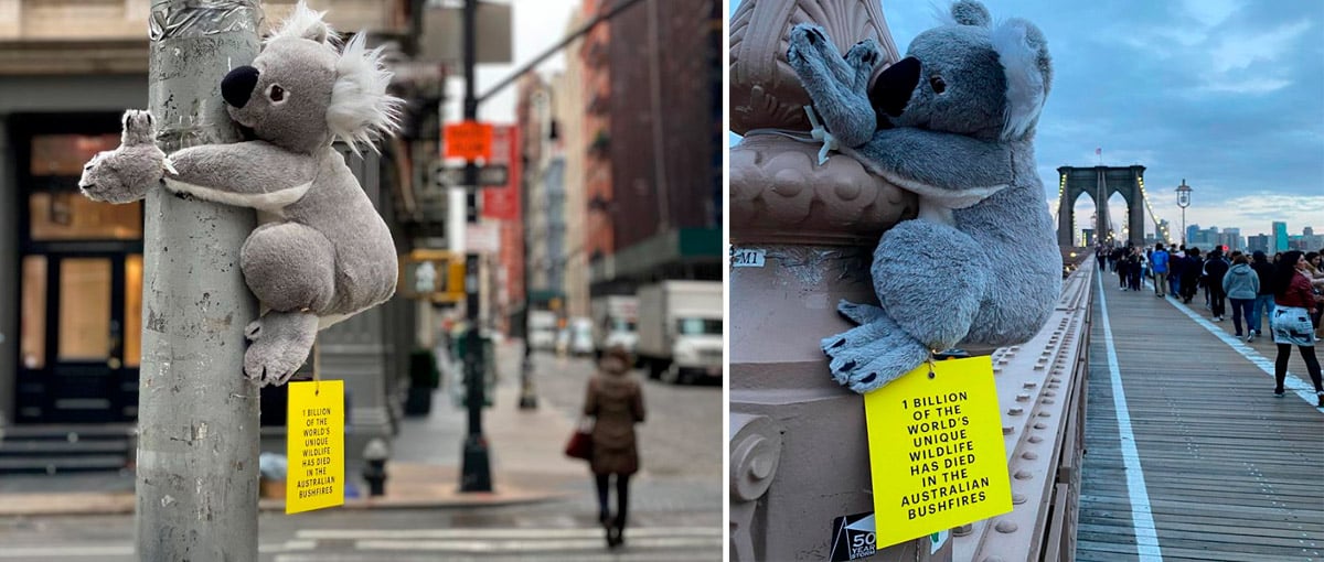 Coalas de Nova York, campanha insere bichos de pelúcia na cidade para angariar doações
