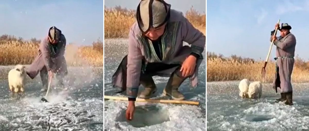 Hipnotizante: Uma fascinante pesca na Mongólia