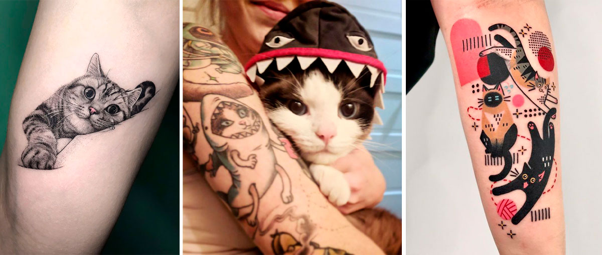 22 Tatuagens de Gatos para Rir ou para se Inspirar