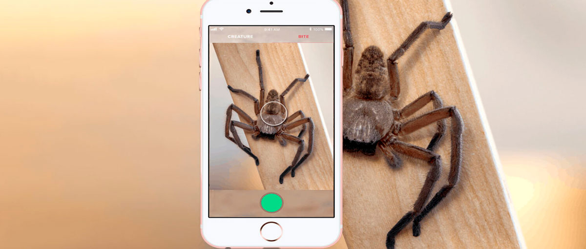 Critterpedia, um app para identificar aranhas e cobras