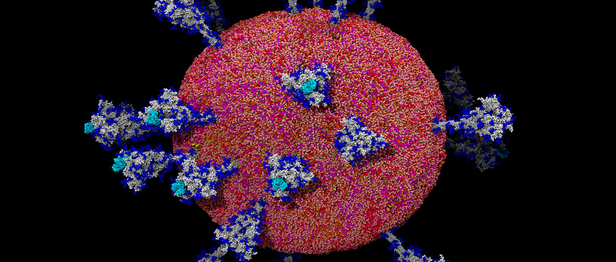 A-imagem-detalhada-do-coronavirus-GEEKNESS-capa.jpg