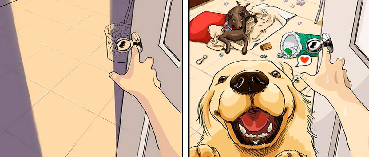 Ilustrações retratam a vida antes e depois de um bichinho de estimação