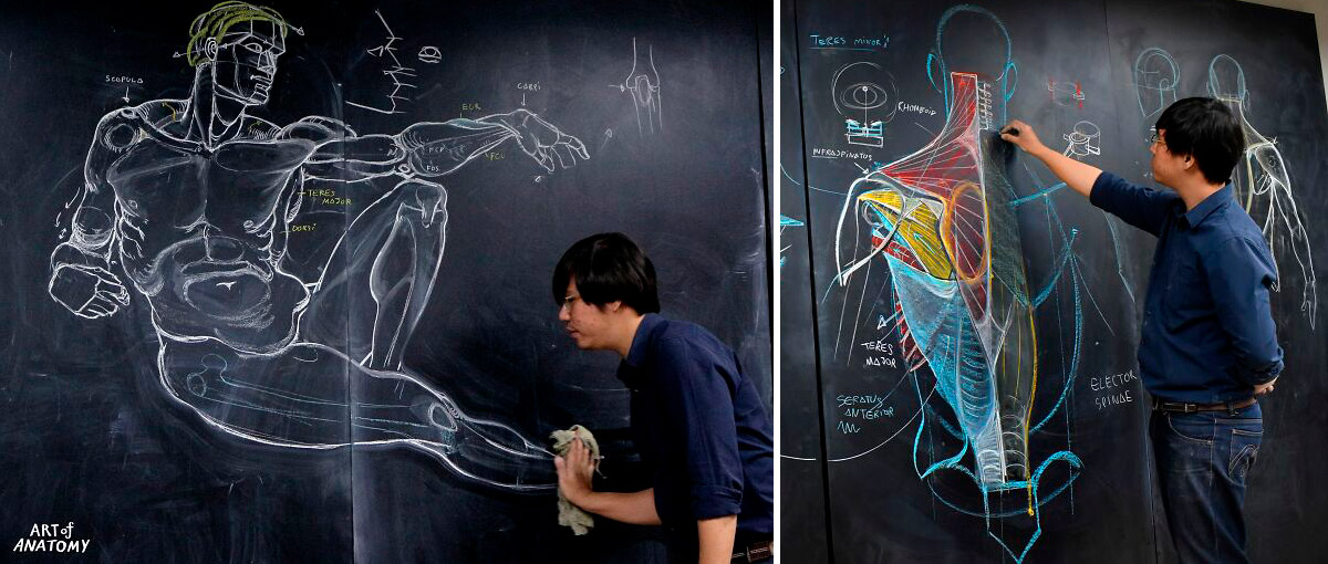 As incríveis aulas de desenho de anatomia de Wannarit Karin