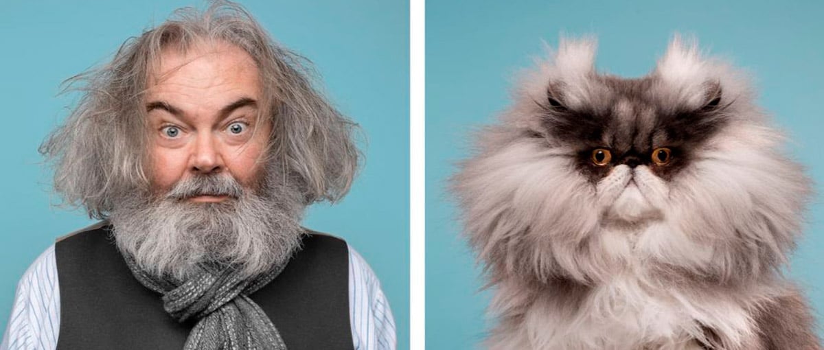 Retratos de gatos e seus donos mostram curiosas semelhanças entre eles