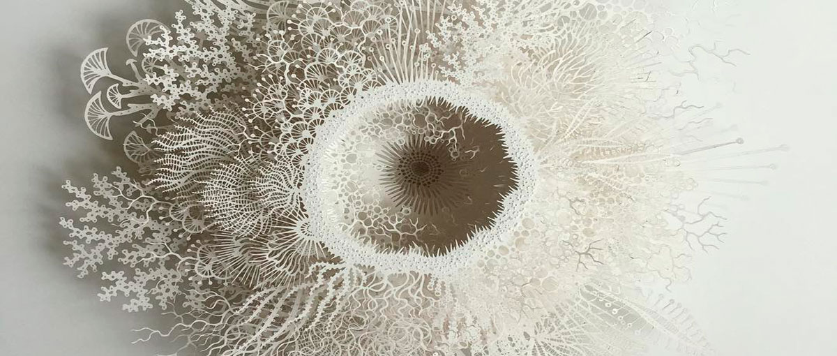 Artista representa microrganismos com esculturas em papel