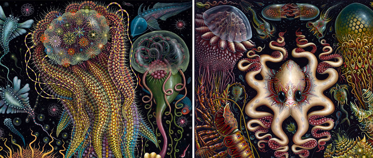 O complexo ecossistema marinho em pinturas