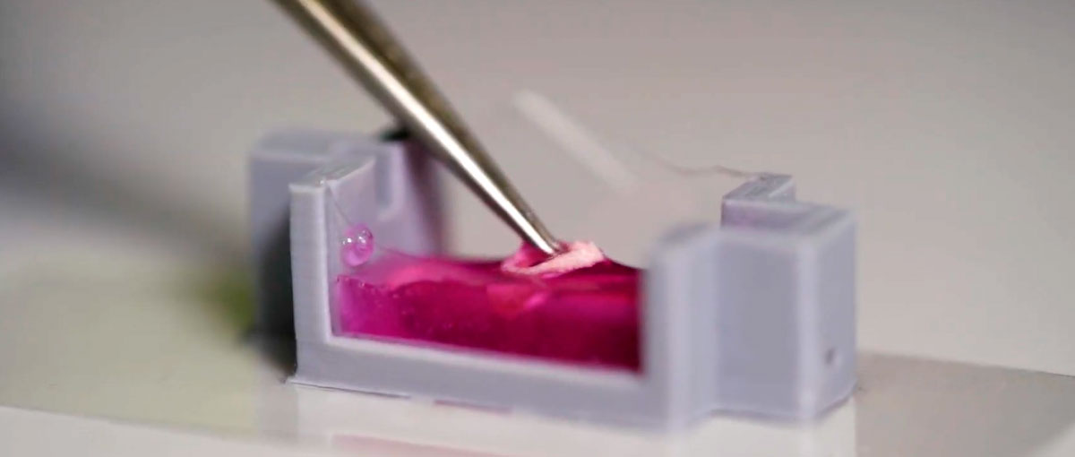 Cientistas desenvolvem tinta 3D que pode ser impressa no corpo
