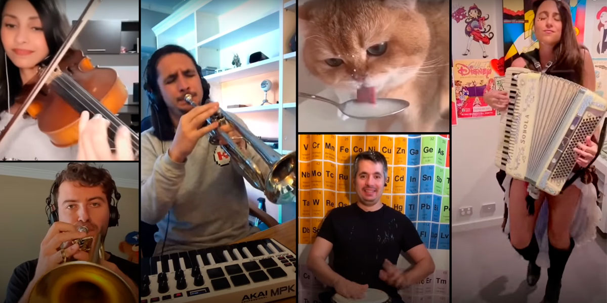 The Kiffness, o Youtuber que faz remixes com gatos e animais