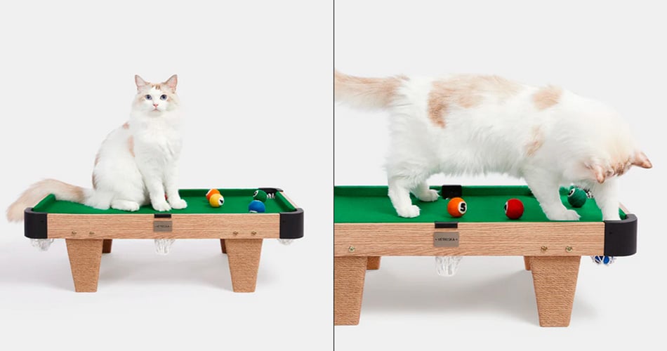 Uma mesa de sinuca para gatos