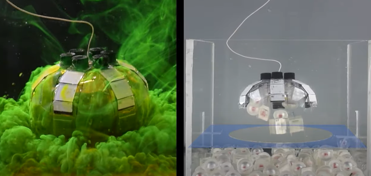 Robô água-viva pode limpar oceanos no futuro