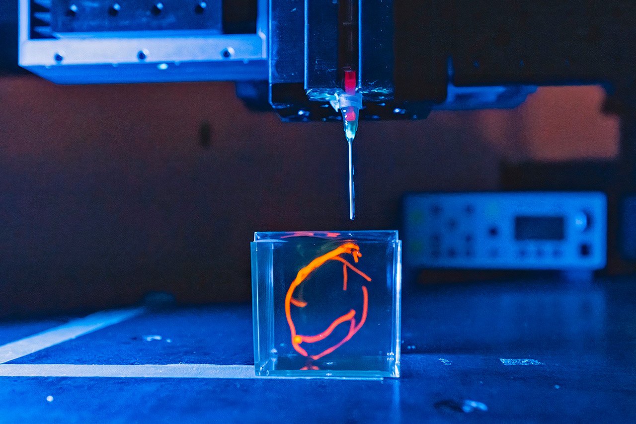 Cientistas pretendem imprimir em 3D um coração humano e implantá-lo em um ser vivo