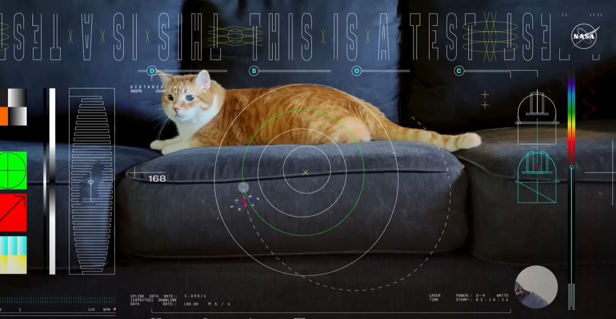 NASA transmite vídeo de gato a 19 milhões de milhas de distância da Terra usando um transceptor laser de voo