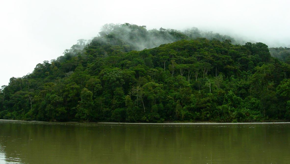 Cientistas descobrem vestígios de antigas civilizações na floresta amazônica