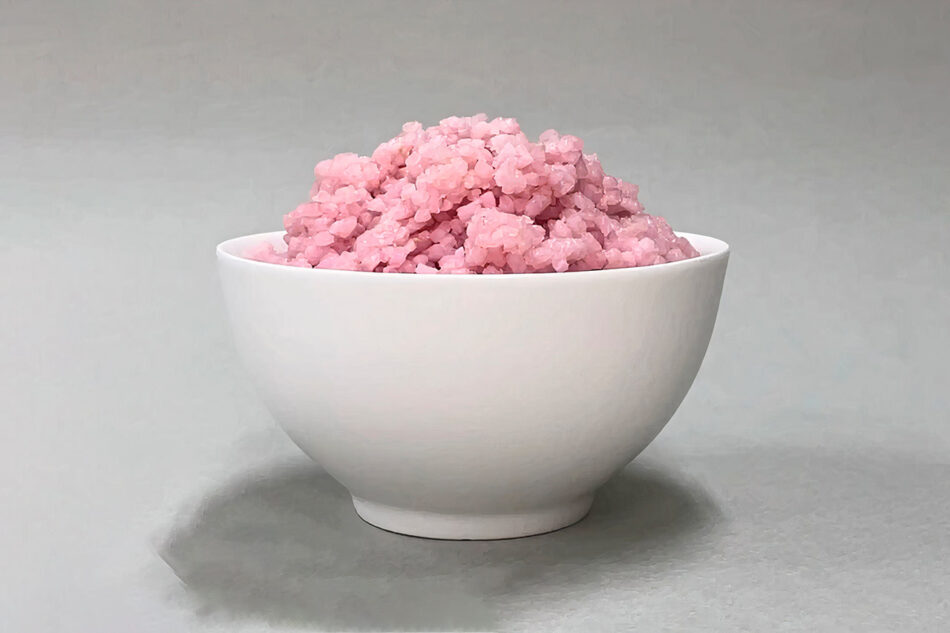 Arroz com células de carne: Uma nova fonte de proteína com redução de danos ao planeta