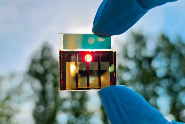 Células solares semitransparentes podem transformar janelas em dispositivos de captação de energia