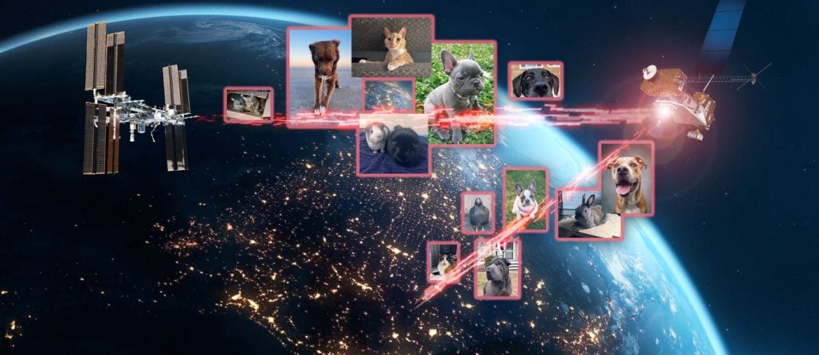 LCRD (Demonstração de Comunicação a Laser) da NASA envia fotos de animais de estimação para a ISS