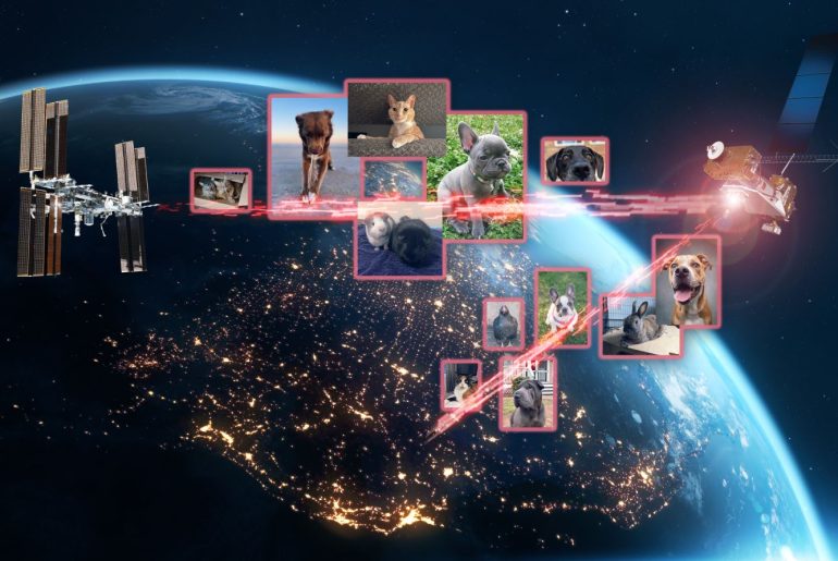 LCRD (Demonstração de Comunicação a Laser) da NASA envia fotos de animais de estimação para a ISS