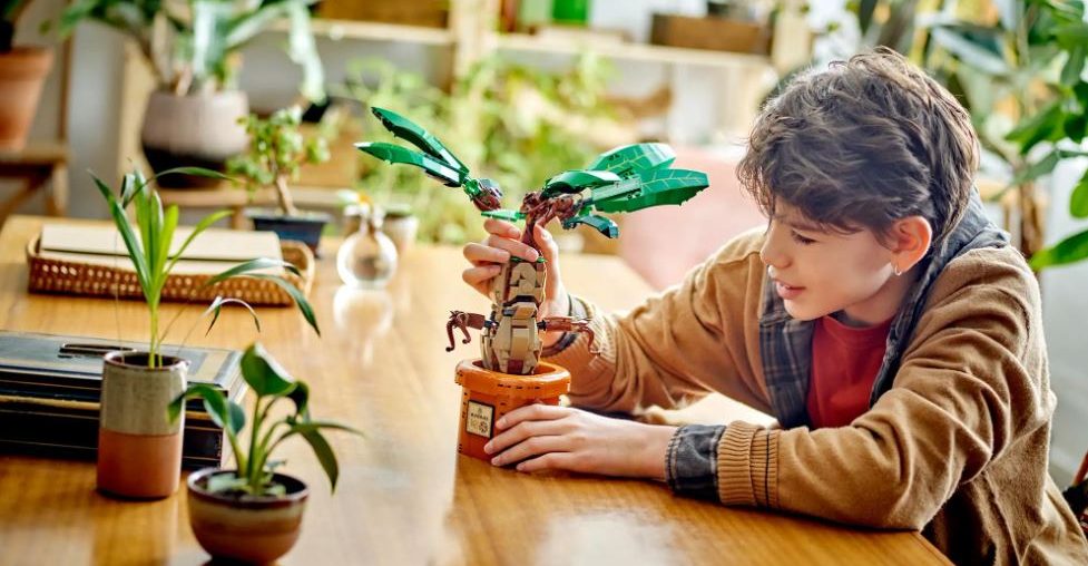 LEGO Harry Potter Mandrake: mais um ícone da saga do bruxo ganha blocos de montar