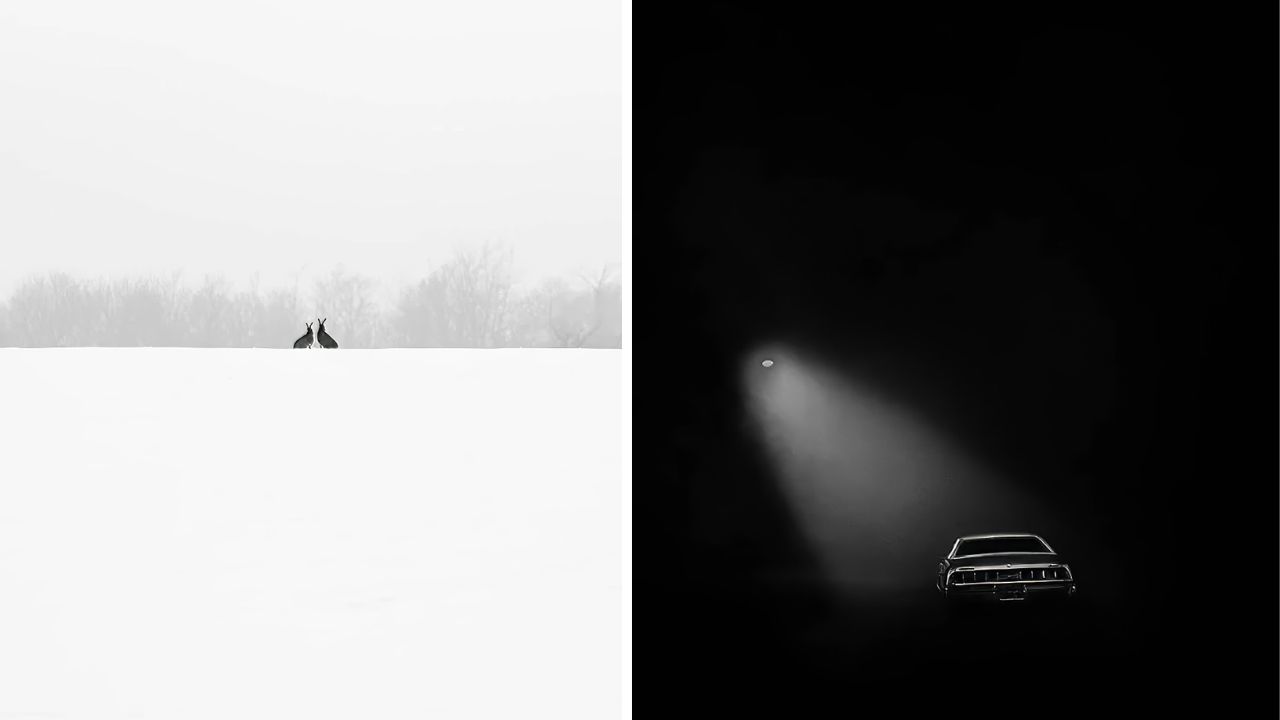 As incríveis fotos vencedoras do Black & White Minimalism Photography Awards 2024