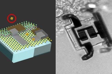 Engenheiros do MIT desenvolvem baterias microscópicas para robôs do tamanho de uma célula