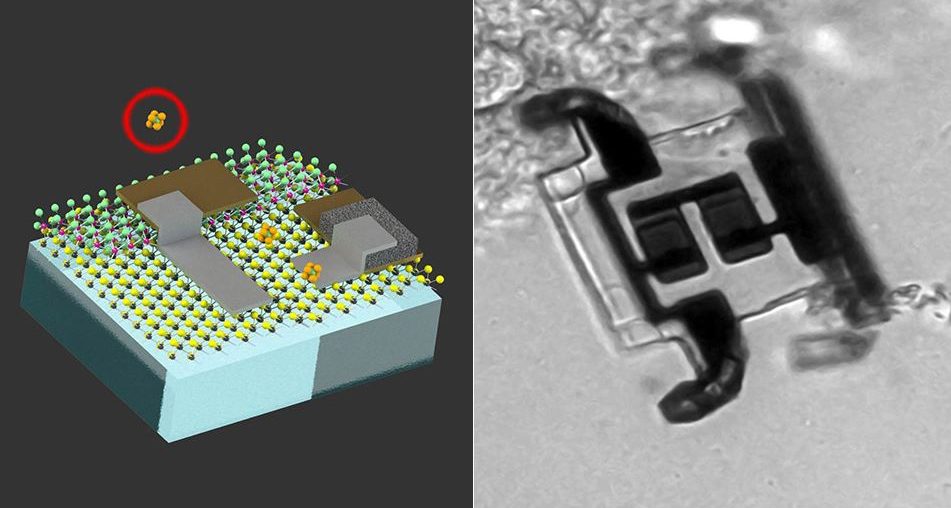 Engenheiros do MIT desenvolvem baterias microscópicas para robôs do tamanho de uma célula