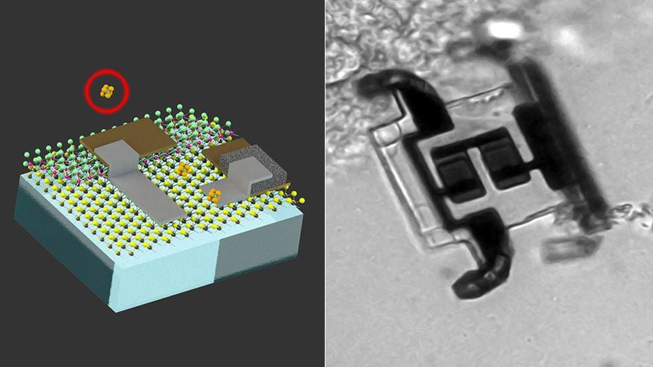 Engenheiros do MIT desenvolvem baterias microscópicas para robôs do tamanho de uma célula