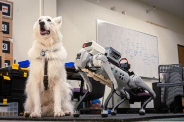 Cientistas estão desenvolvendo cães-guia robôs funcionais