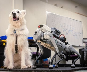 Cientistas estão desenvolvendo cães-guia robôs funcionais