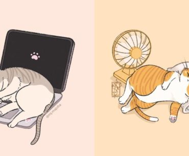 Alerta de fofura: Os desenhos de gatos de Majcha estão entre as coisas mais fofas da Internet