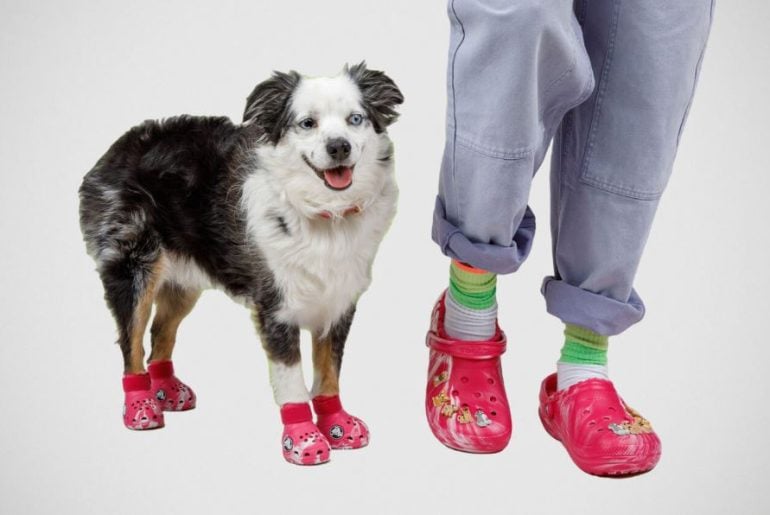 Crocs para cachorros são lançados em parceria da Crocs com a BARK