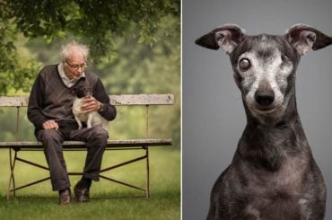 Dog Photography Awards de 2024: Veja as fotos vencedoras