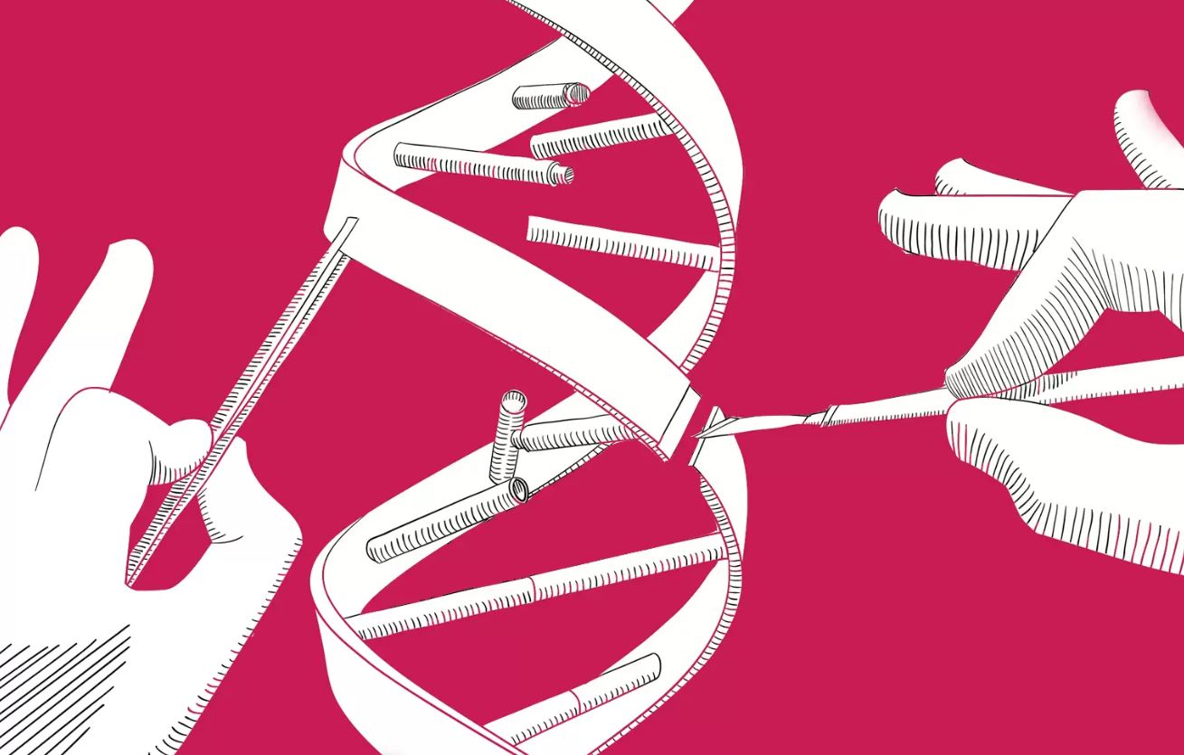 Cientistas hackeiam genes de bactéria que decompõe resíduos plásticos