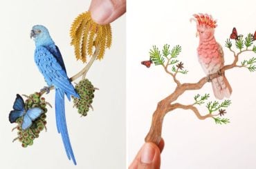 Projeto Papagaio: Artista cria mais de 40 lindos papagaios de papel