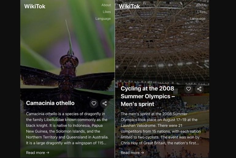 WikiTok transforma a Wikipedia em um feed infinito de artigos