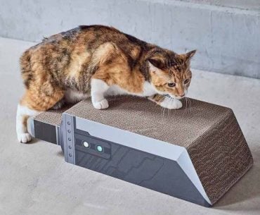Square Enix lança acessórios de Final Fantasy para pets