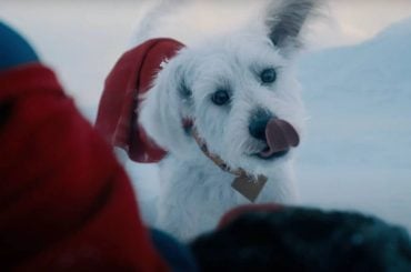 David Corenswet revela detalhes sobre Krypto em Superman: ‘O pior cão do mundo... com superpoderes’