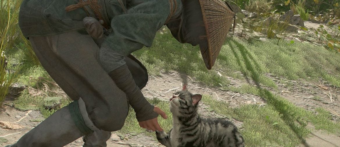 Assassin's Creed Shadows proíbe violência contra animais e Ubisoft detalha o por quê