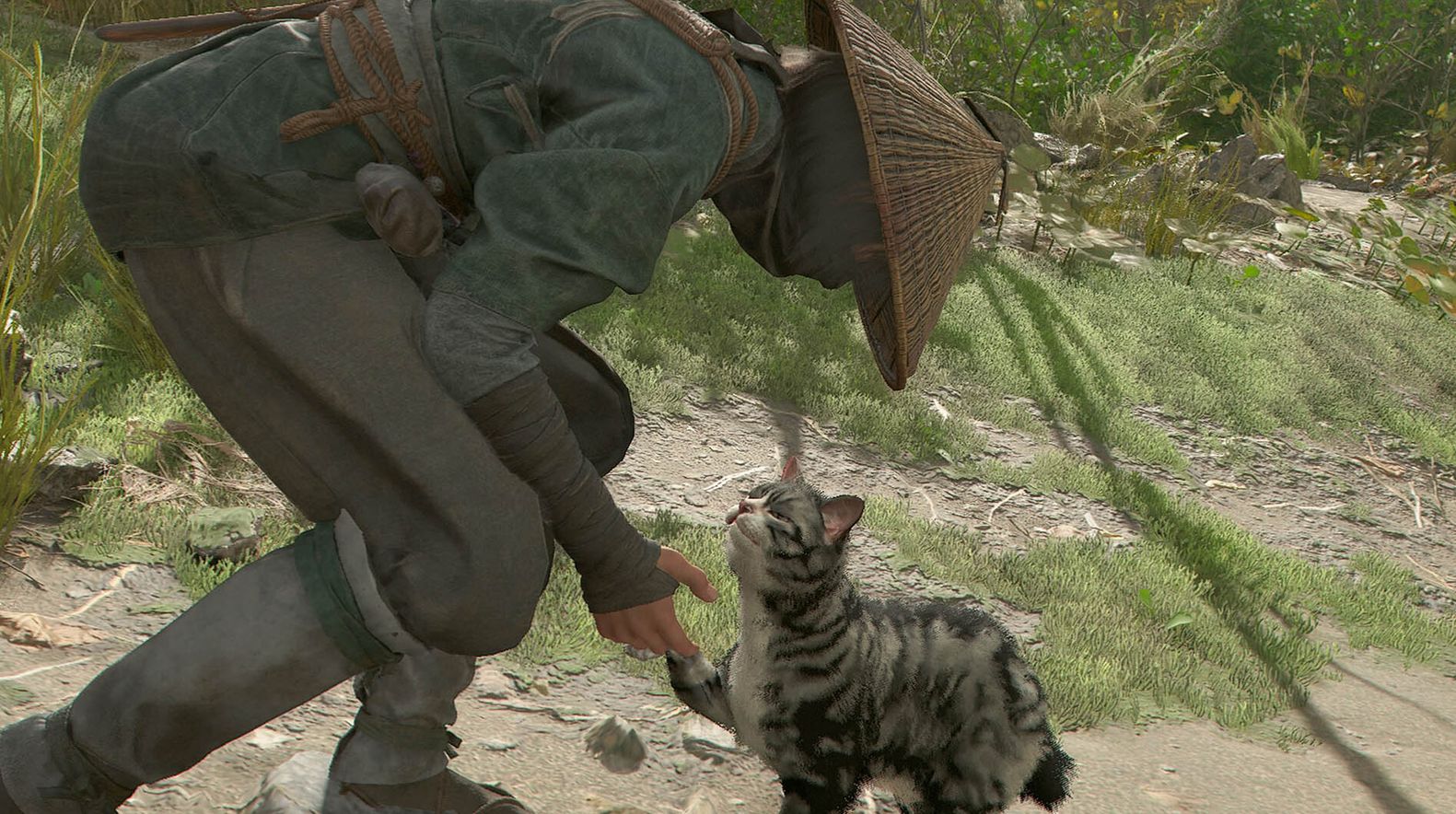 Assassin's Creed Shadows proíbe violência contra animais e Ubisoft detalha o por quê