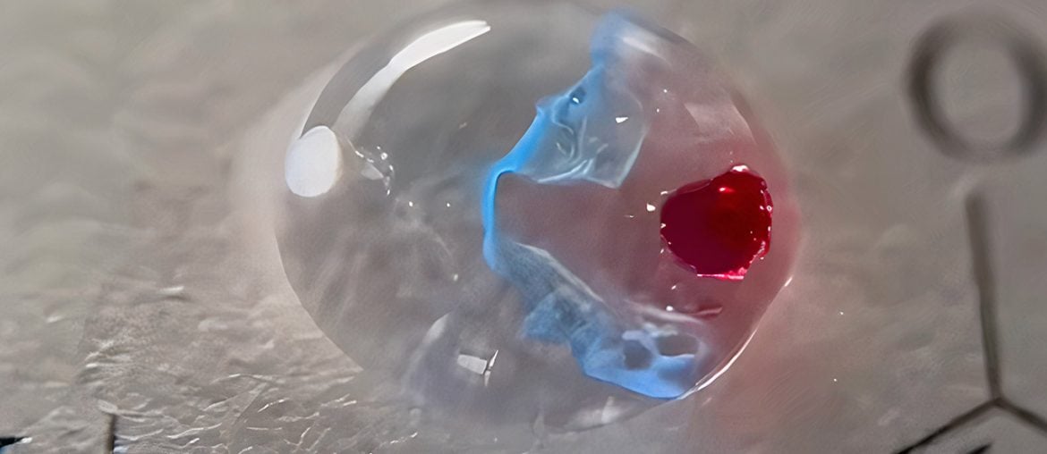 Cientista transforma gotas d'água em microreatores para criar arte química reativa