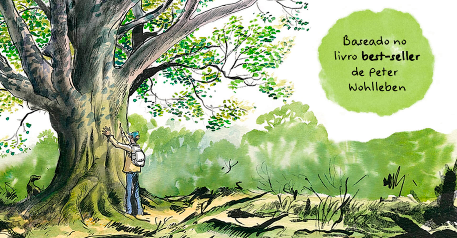 A Vida Secreta das Árvores