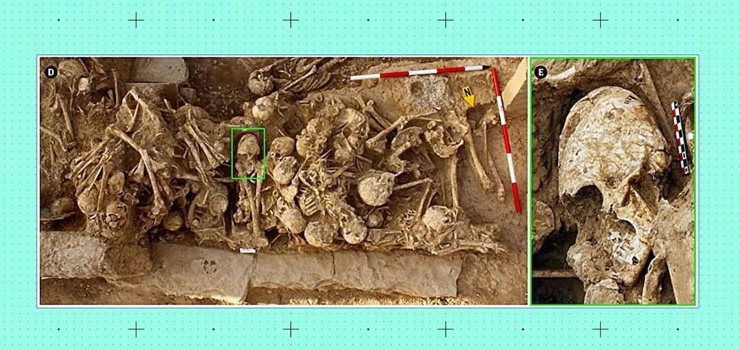 Cientistas se intrigam com crânio em formato de cone encontrado em antigo cemitério no Irã