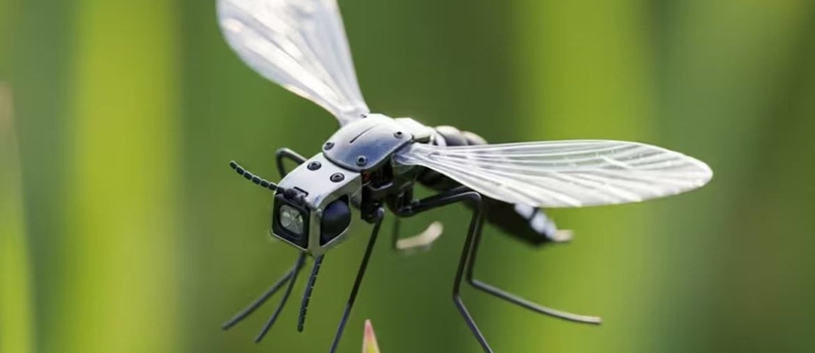 China desenvolve drones inspirados em mosquitos com foco em operações militares furtivas