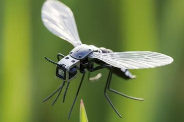 China desenvolve drones inspirados em mosquitos com foco em operações militares furtivas