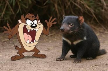Personagens de desenhos animados e seus animais de inspiração